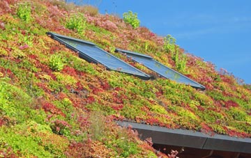 Wydra living roof systems
