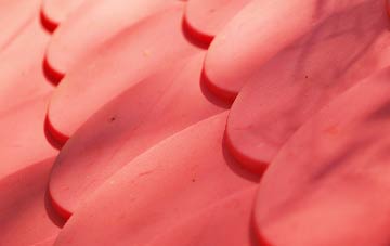 Wydra plastic roof costs