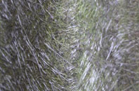 Wydra fibreglass roof work