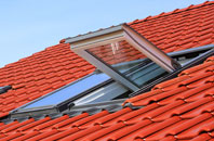 Wydra roof window